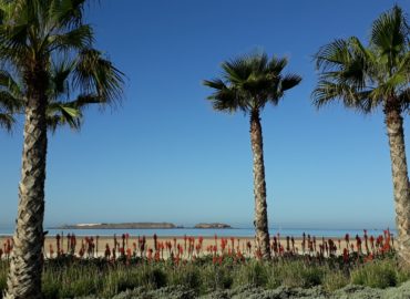 Essaouira beach