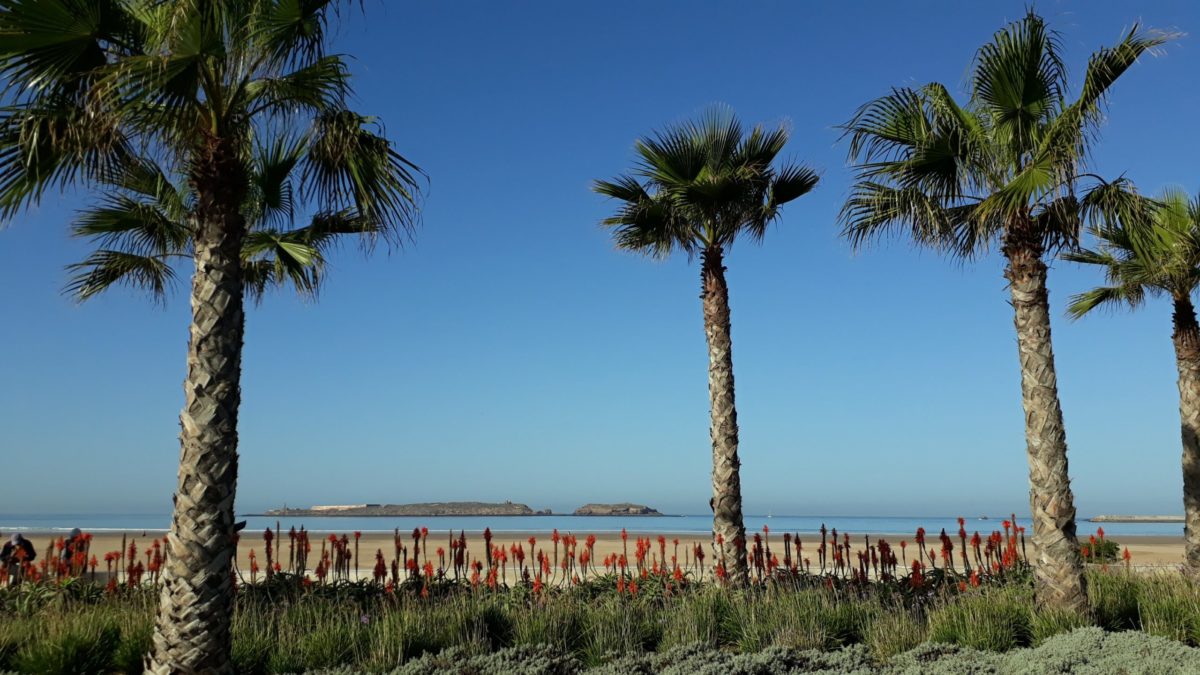 Essaouira beach